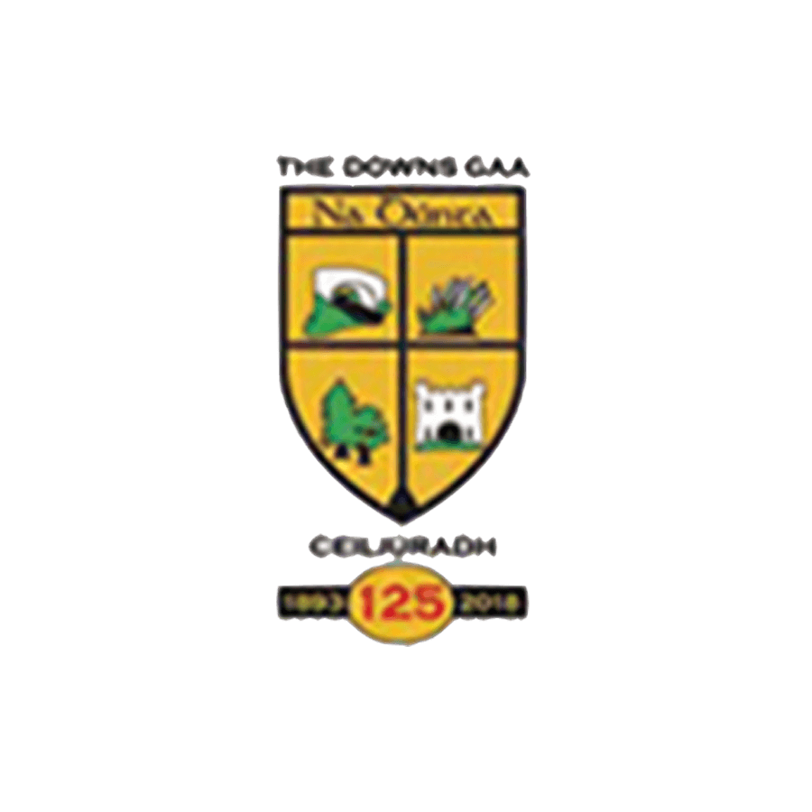 LOGO 15