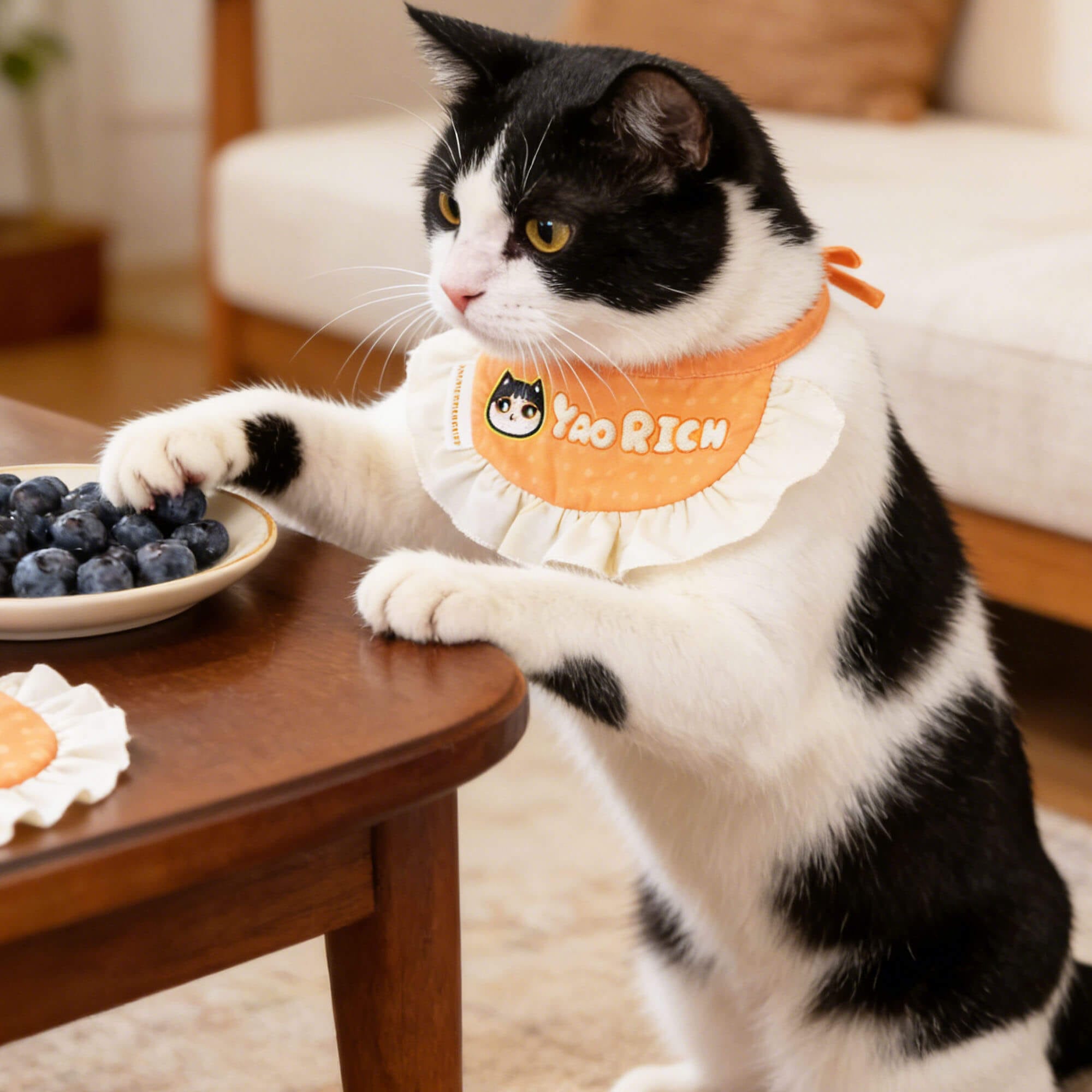 Why a Custom Pet Bandana Is Your Furry Friend’s New Must-Have